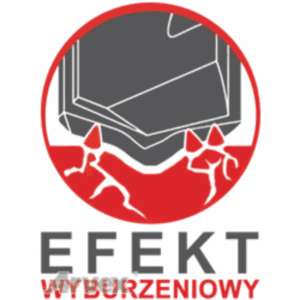 SDS 10/0800 profesjonalne wiertło SDS-Plus z efektem wyburzeniowym 10x800 - obrazek 10