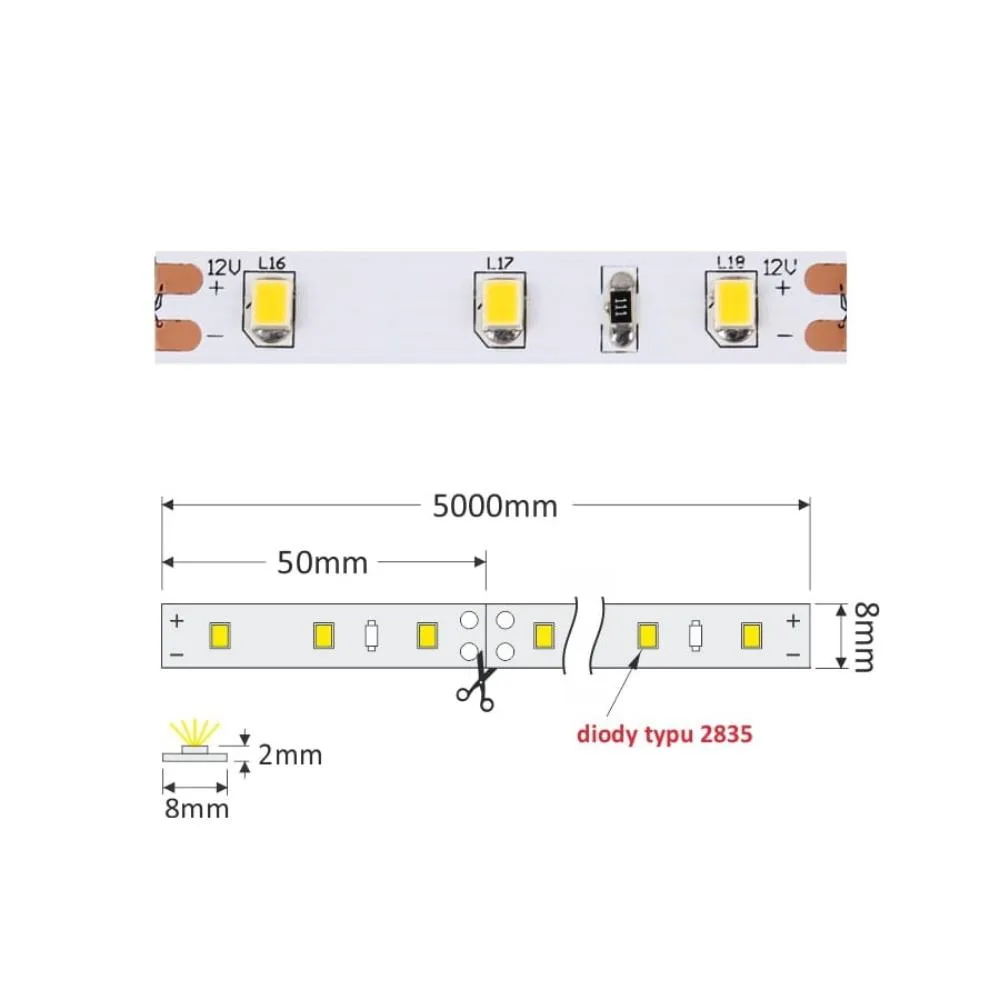 TAŚMA STANDARD, 3528 IP20 300 LED dł 5m szer 8mm,