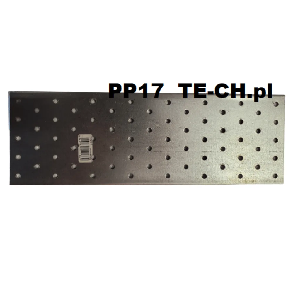 Płytka perforowana łącznik płaski PP17 100x300x2 mm