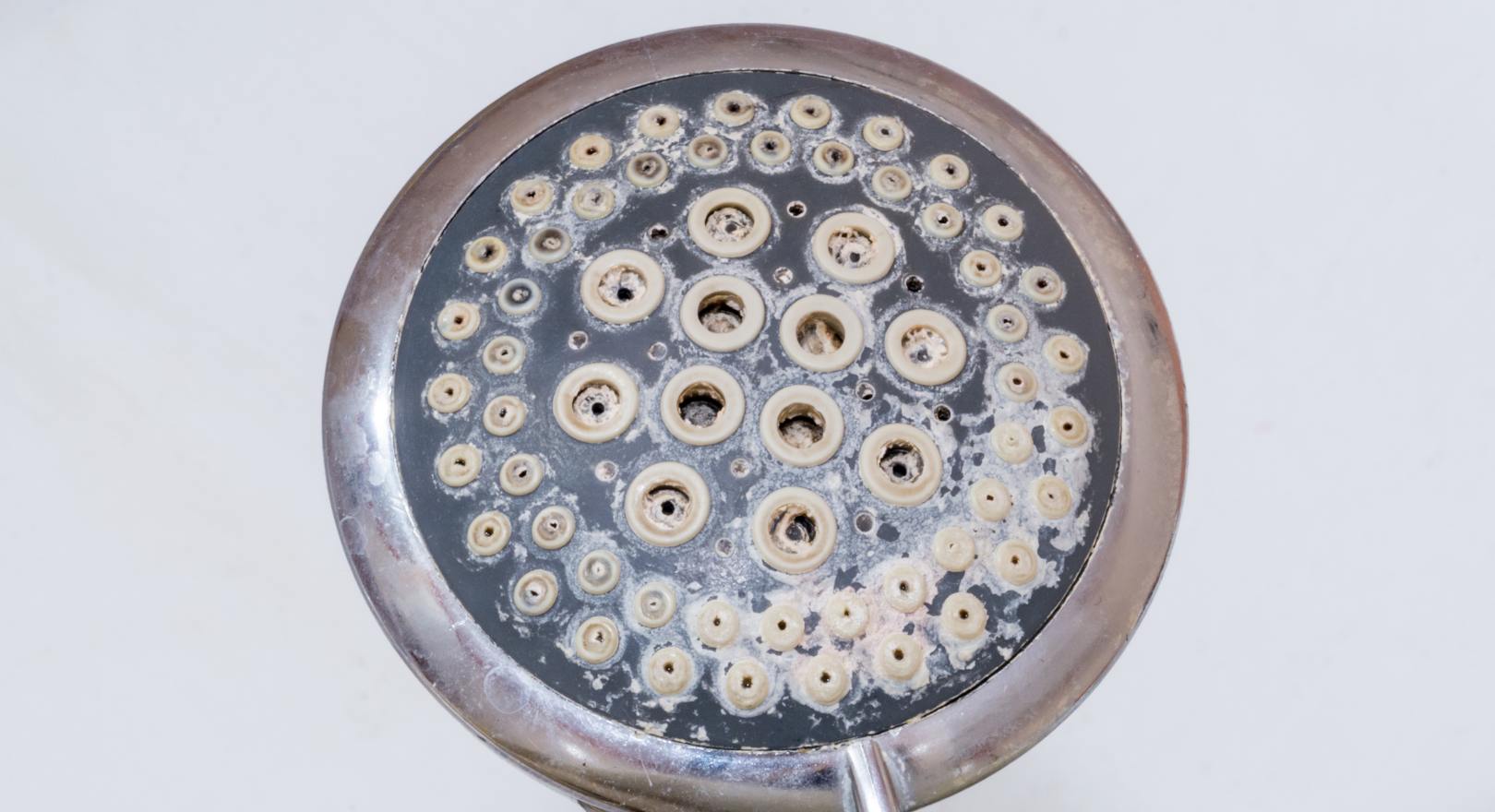 słuchawka prysznicowa zanieczyszczona kamieniem