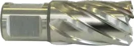 EX22411302100 Wiertło trepanacyjne HSS długość robocza 30 mm 21,0 mm EXACT