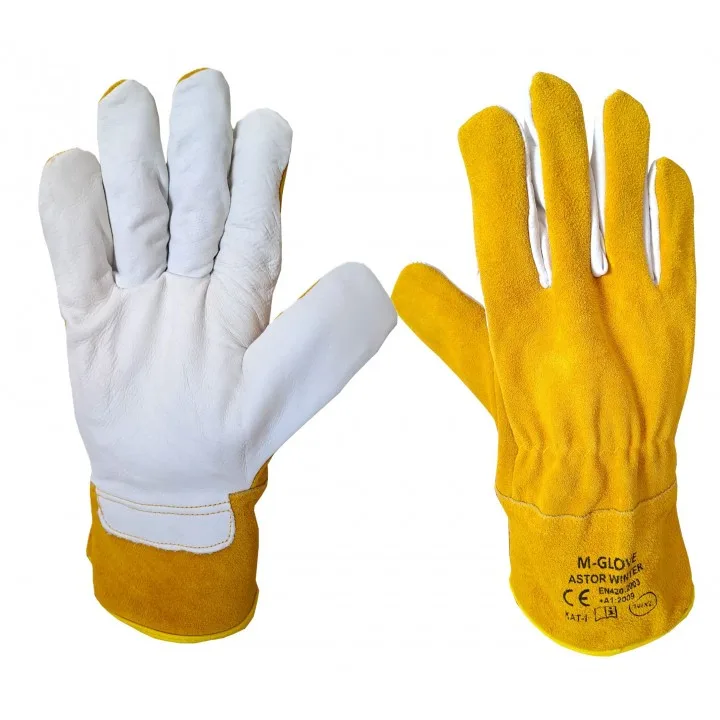 ASTOR WINTER KAT.I. r10 120par